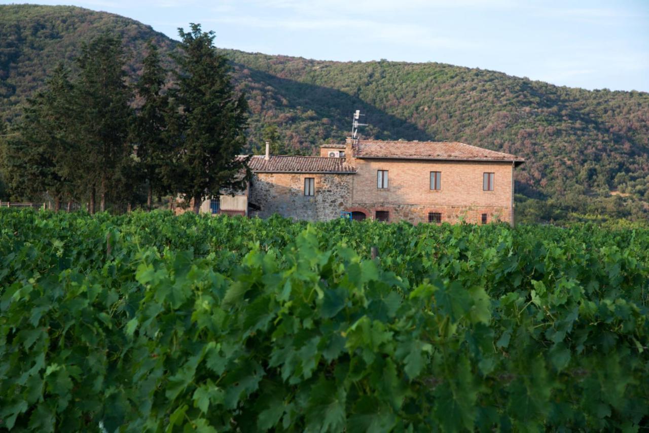 Luce Di Vino Villa Montalcino Luaran gambar